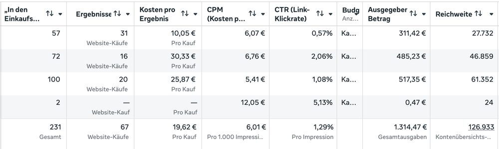 Screenshot aus dem Werbeanzeigenmanager: Verkaufs-Kampagne
